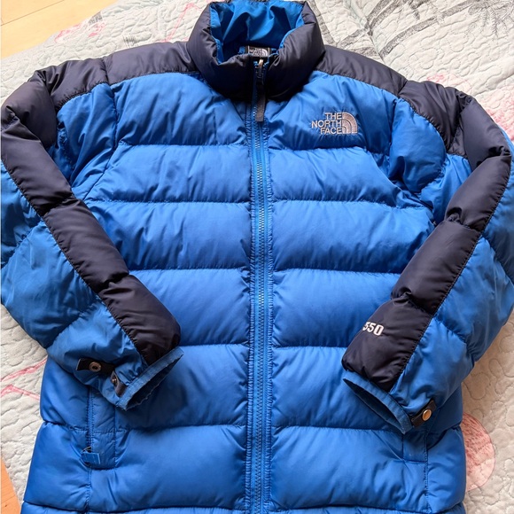The North Face Blue Puffer Jacket